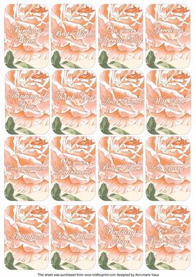 Peach Rose Matching Floral Perfume Mixed Sentiment Cards