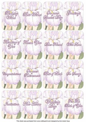 Iris Purple Matching Floral Perfume Mixed Sentiment Cards