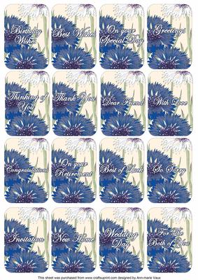 Cornflowers Matching Floral Perfume Mixed Sentiment Cards
