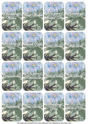Blue Asters Matching Floral Perfume Mixed Sentiment Cards