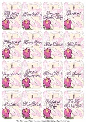 Orchids Matching Floral Perfume Mixed Sentiment Cards