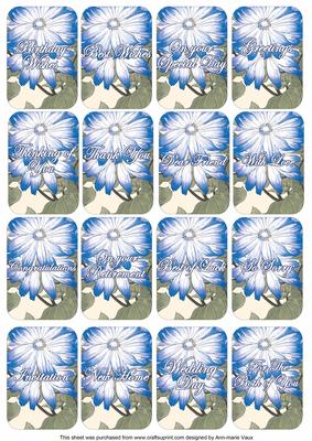Blue Daisies Matching Floral Perfume Mixed Sentiment Cards