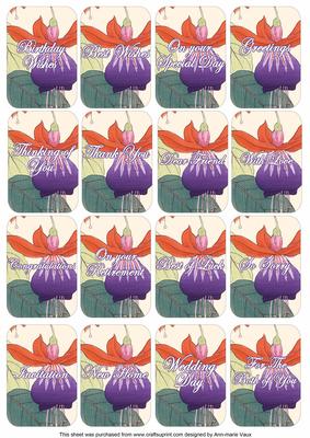 Fushsias Matching Floral Perfume Mixed Sentiment Cards