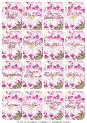 Pink Daisy Matching Floral Perfume Mixed Sentiment Cards