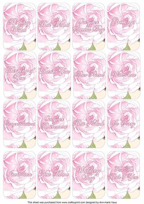 Pink Rose Matching Floral Perfume Mixed Sentiment Cards