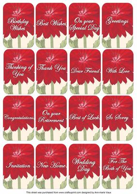 Red Dahlia Matching Floral Perfume Mixed Sentiment Cards