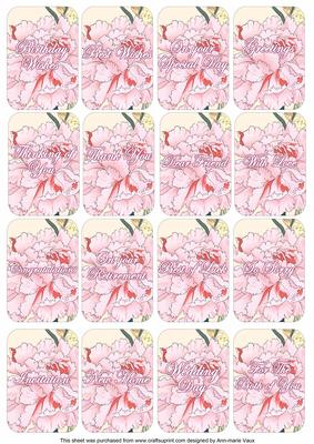 Carnations Matching Floral Perfume Mixed Sentiment Cards