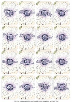 White Anemone Matching Floral Perfume Mixed Sentiment Cards