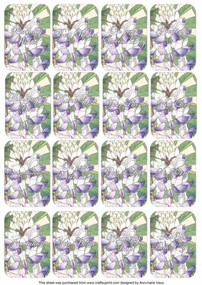 Blue Lupin Matching Floral Perfume Mixed Sentiment Cards