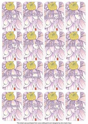 White Dahlia Matching Floral Perfume Mixed Sentiment Cards
