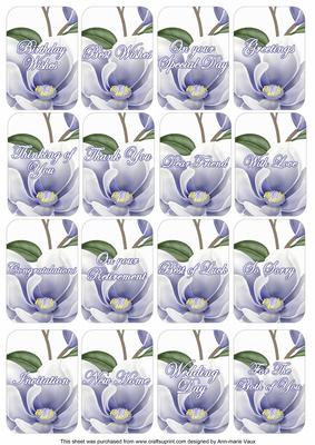 Blue Magnolia Matching Floral Perfume Mixed Sentiment Cards