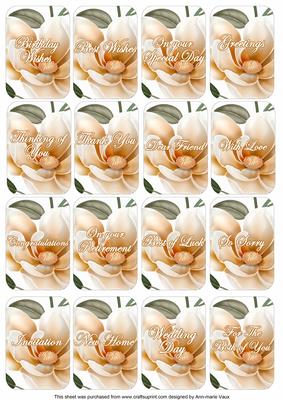 Boran Magnolia Matching Floral Perfume Mixed Sentiment Cards
