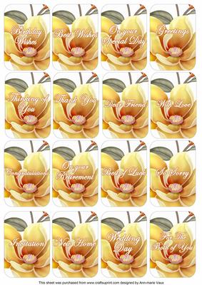 Lemons Magnolia Matching Floral Perfume Mix Sentiment Cards