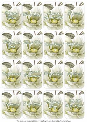 Olive Magnolia Matching Floral Perfume Mix Sentiment Cards