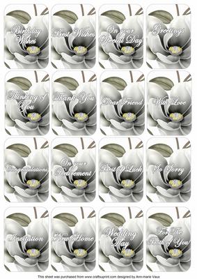 Silver Magnolia Matching Floral Perfume Mix Sentiment Cards