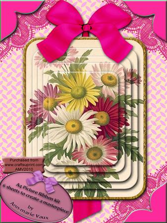 Crazy Daisies A4 Decoupage Card Front Kit