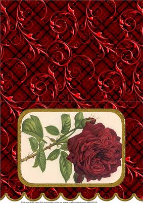 Red Rose A5 Scallop Edge Card