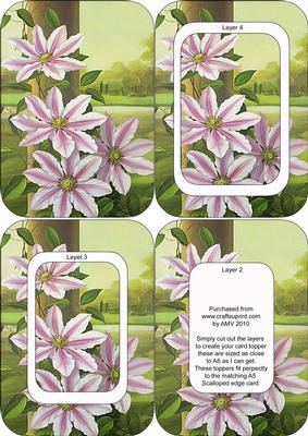 Clematis A6 Round Corner Toppers