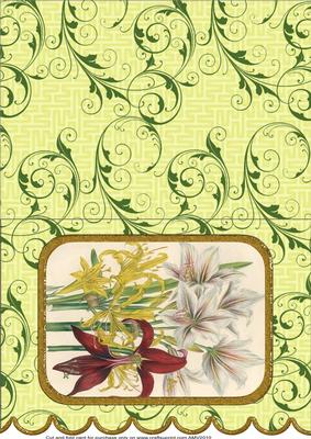 Lily Orchids A5 Scallop Edge Card