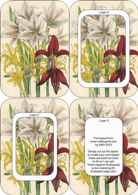Lily Orchids A6 Round Corner Tunnel Toppers