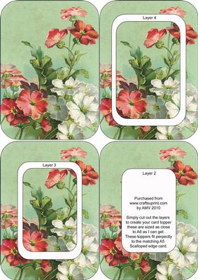 Mixed Primulas A6 Round Corner Tunnel Toppers