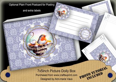 Blue Robin Christmas Ddoily 7x5in Presentation Box Mini Kit