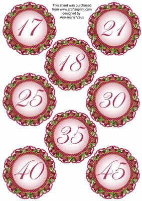Hot Pink Fmk Dotty Doily Numbers 17 to 45 Topper Sheet