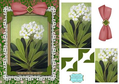 White Primula A5 Lace Card Front Step by Step