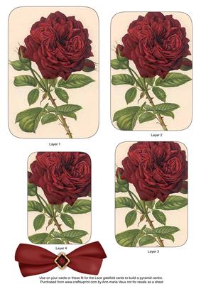 Red Rose Matching Lace Gatefold Toppers