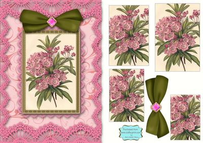 Pink Floral A5 Lace Border Card Front Step by Step