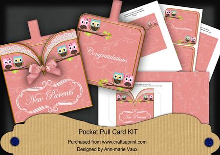 Pink Owls New Parents Vintage Pocket Pull Card Kit