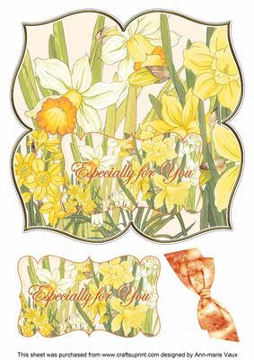 Daffodils Especially 8in Large Blooms Fancy Topper