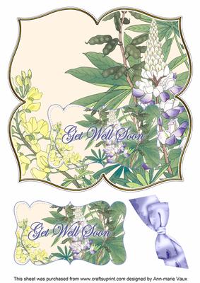 Lupins Get Well Soon 8in Large Blooms Fancy Topper