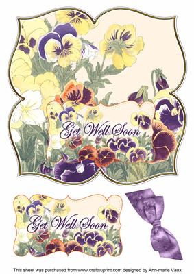 Pansies Get Well Soon 8in Large Blooms Fancy Topper
