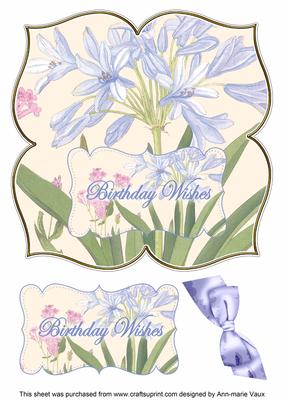 Agapanthus Birthday Wishes 8in Large Blooms Fancy Topper