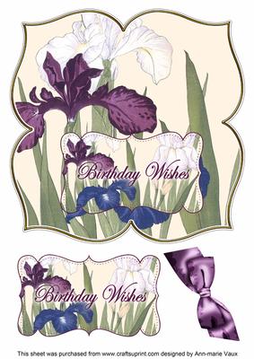 Iris Birthday Wishes 8in Large Blooms Fancy Topper
