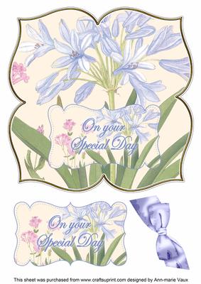 Agapanthus Special Day 8in Large Blooms Fancy Topper