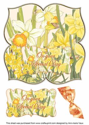 Daffodils Special Day 8in Large Blooms Fancy Topper