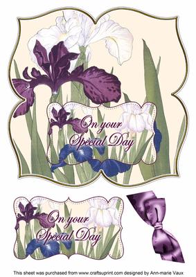 Iris Special Day 8in Large Blooms Fancy Topper