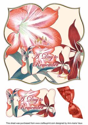 Amarylis Day to Remember 8in Large Blooms Fancy Topper