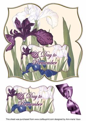Iris Day to Remember 8in Large Blooms Fancy Topper