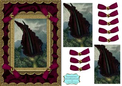 Blood Cala Lily A5 Lace N Bows Card Front Step by Step