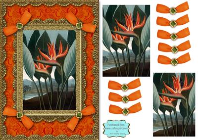 Birds of Paradise A5 Lace N Bows Card Front Step by Step