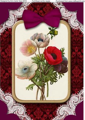 Anemones A4 Lace Picture Sheet