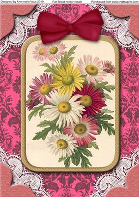 Crazy Daisies A4 Lace Picture Sheet