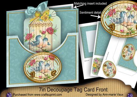 Birdcage Special Day 7in Tag Card Front Mini Kit