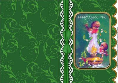Cheeky Robin Duo A5 Lace Scallop Card