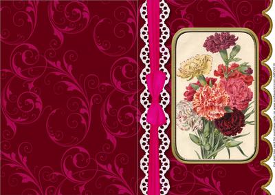 Coloured Carnations A5 Lace Scallop Card
