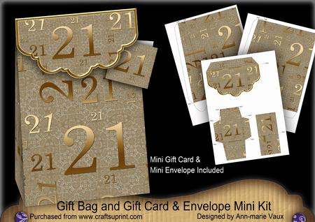 Gold 21 Birthday Gift Bag Mini Kit with Gift Card & Envelope