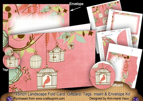 Birdcage Pink 7x5inch Landscape Card & Envelope Mini Kit